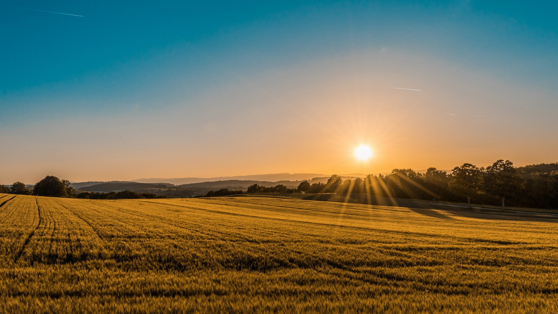 Sunrise over agricultural fields